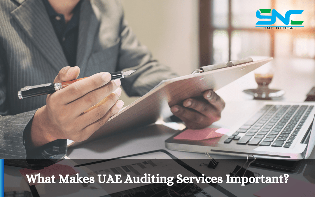 WHAT MAKES UAE AUDITING SERVICES IMPORTANT?